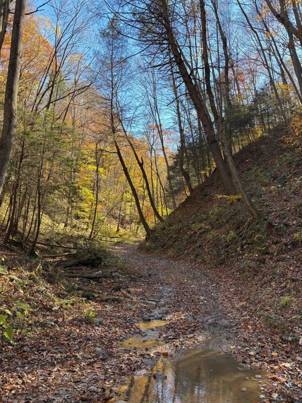Rubes Hollow Trail Review Photo