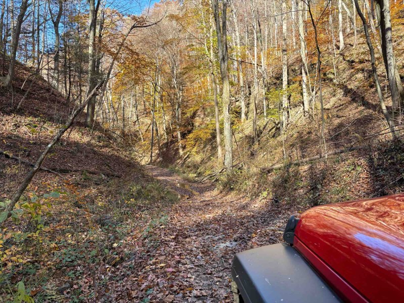 Rubes Hollow Trail Review Photo