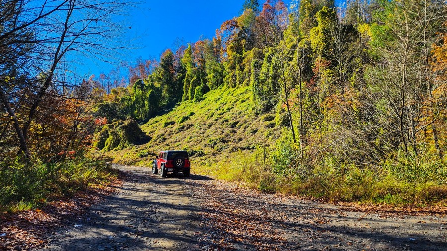 Big Ten Mile Road Trail Review Photo