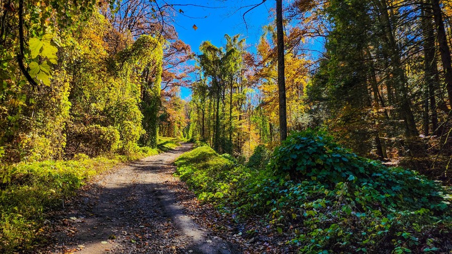 Big Ten Mile Road Trail Review Photo