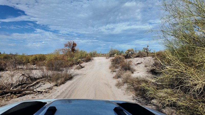 Flo Jo Trail Review Photo