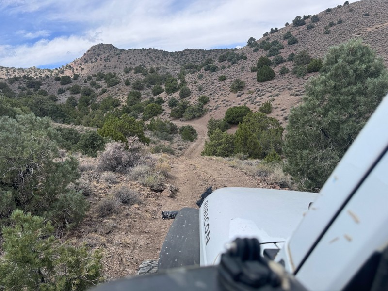 Wild Horse Trail Trail Review Photo