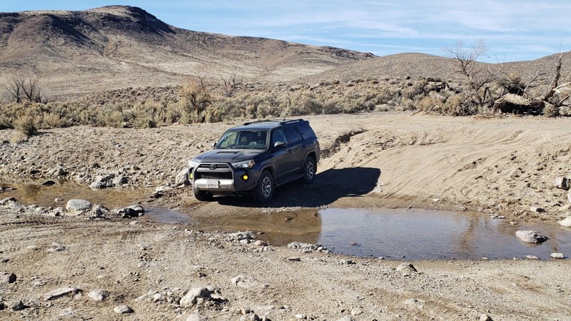 Nevada: Clifton Flat Trail Hero Photo