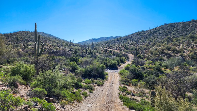 Arizona: East Ajax Mine Cutoff Hero Photo