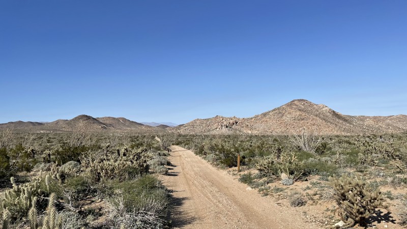 California: Upper Jojoba Wash Hero Photo