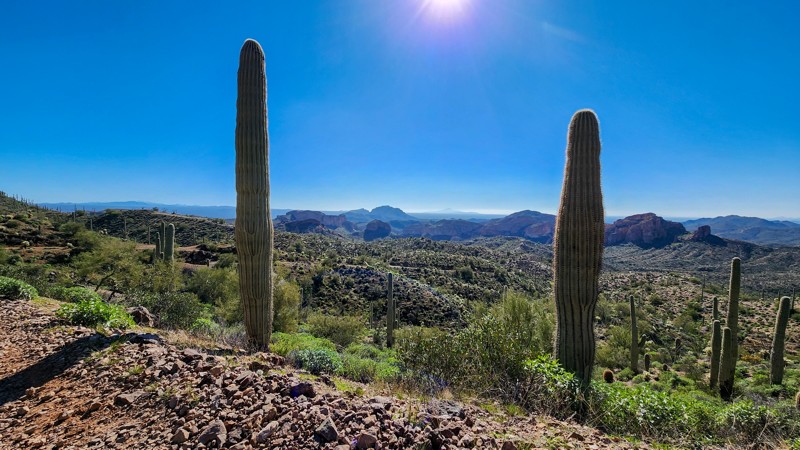 Arizona: High Country Hero Photo