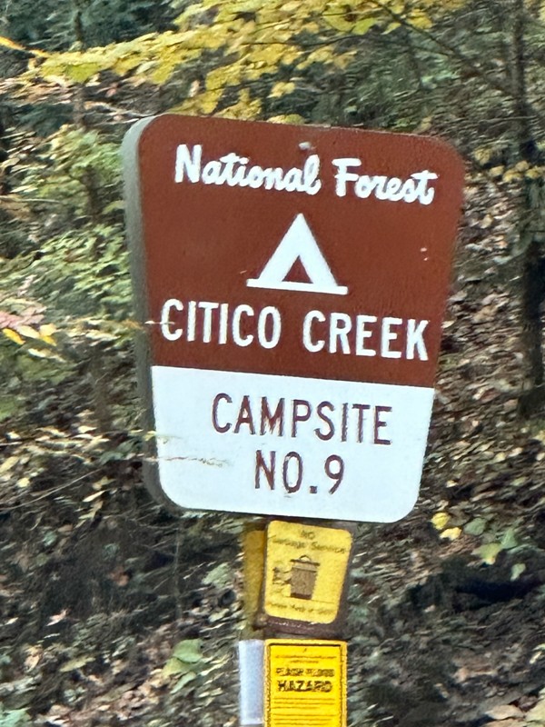 Citico Creek Road Trail Review Photo