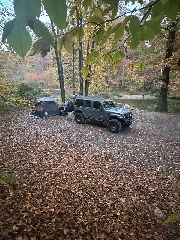 Citico Creek Road Trail Review Photo