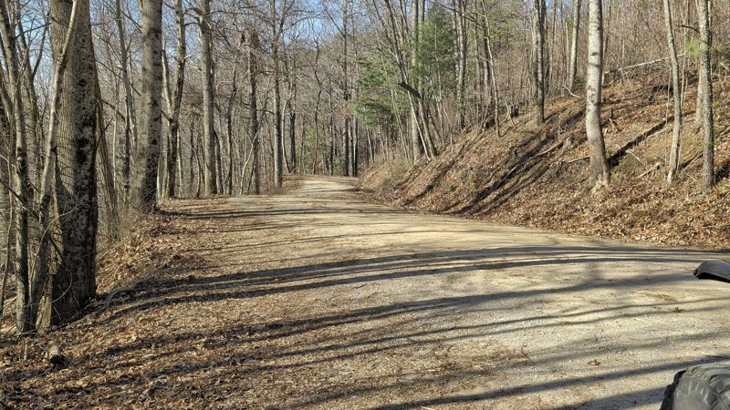Bald River Road Trail Review Photo