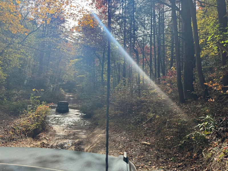 Conasauga Creek Trail Review Photo