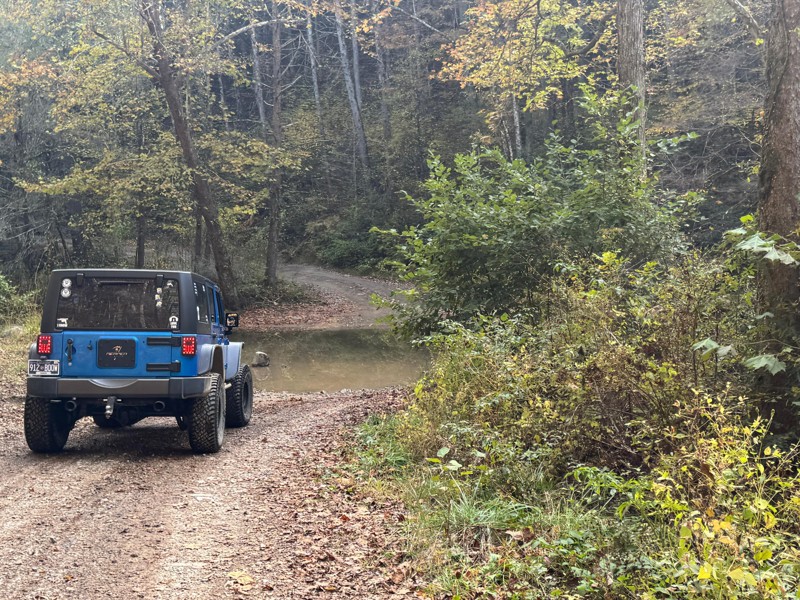 Conasauga Creek Trail Review Photo