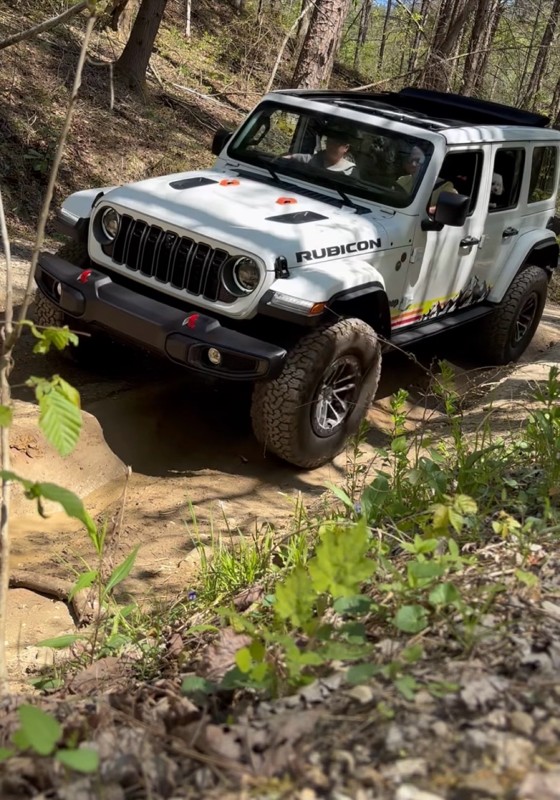 Conasauga Creek Trail Review Photo