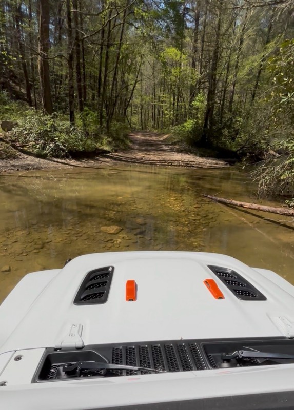 Conasauga Creek Trail Review Photo