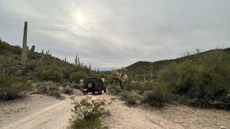 Arizona: 96 Ranch Middle Mountain Crosscut Hero Photo