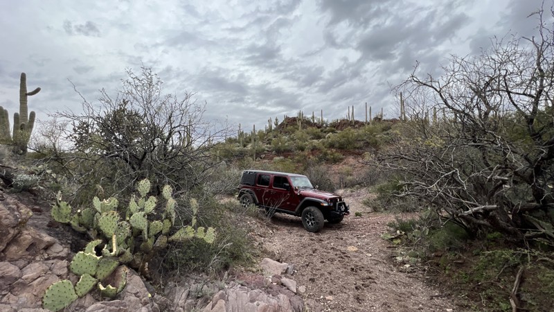 Arizona: Park Link Camping Row Hero Photo