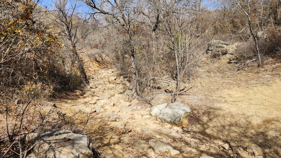 Northwest OHV Park A-11 - Edwards Run Trail Review Photo
