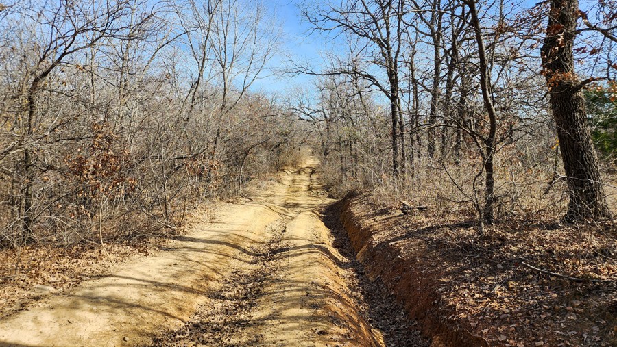 Northwest OHV Park B-26 - Spider Web Loop Trail Review Photo