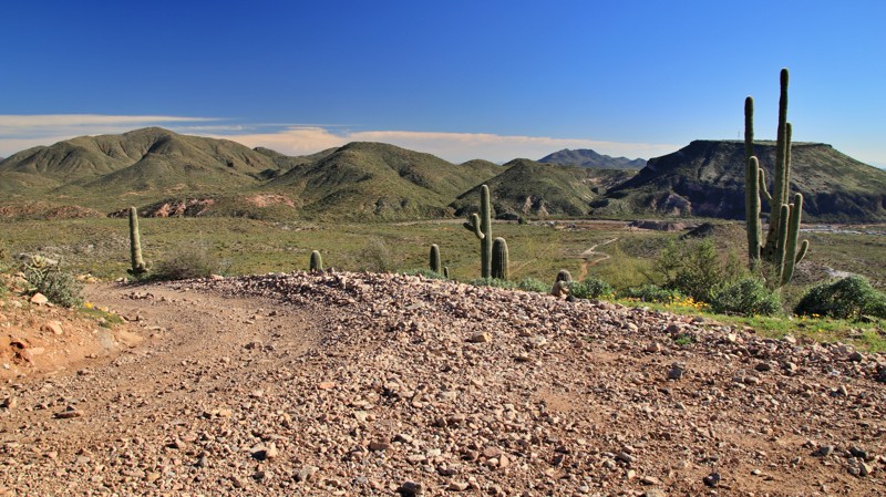 Arizona: Crosscut Hero Photo