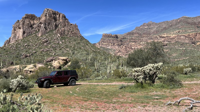 Arizona: Superstition Turk's Head Hero Photo