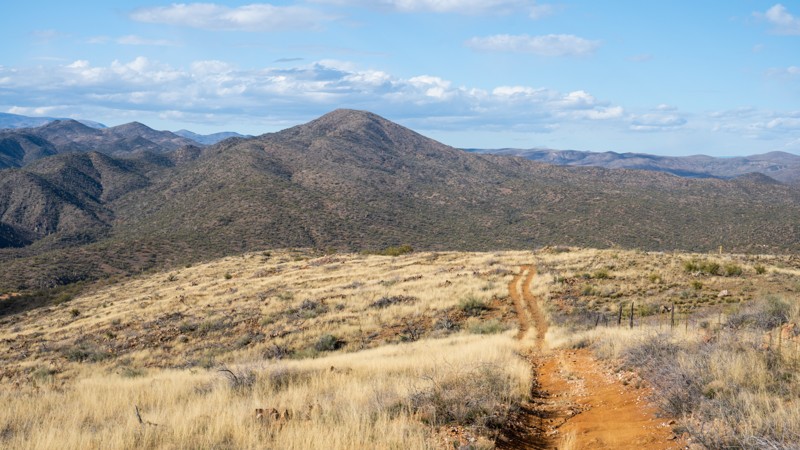Arizona: Sheep Gulch Spring Hero Photo