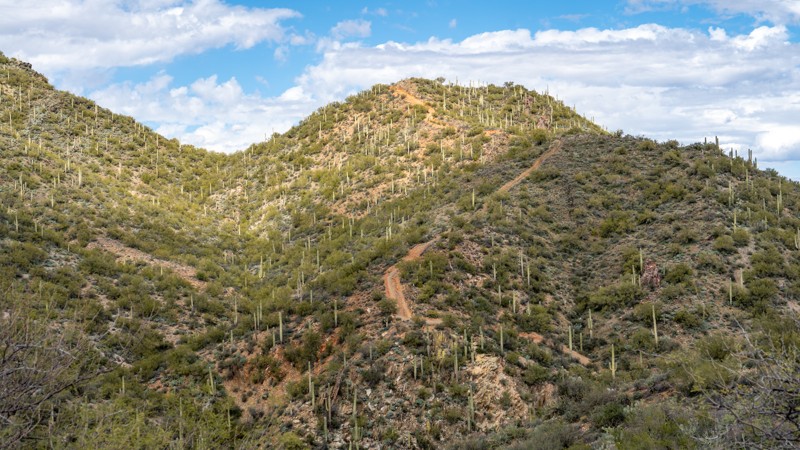 Arizona: Black Canyon Creek Hero Photo