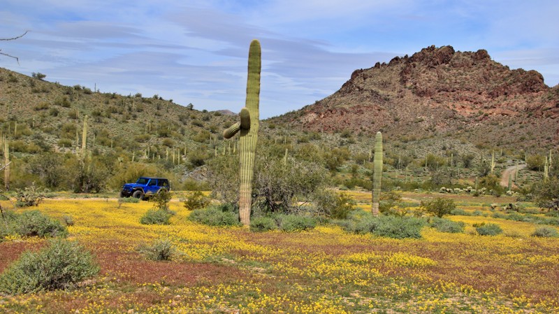 Arizona: Vulture Mine Road Hero Photo