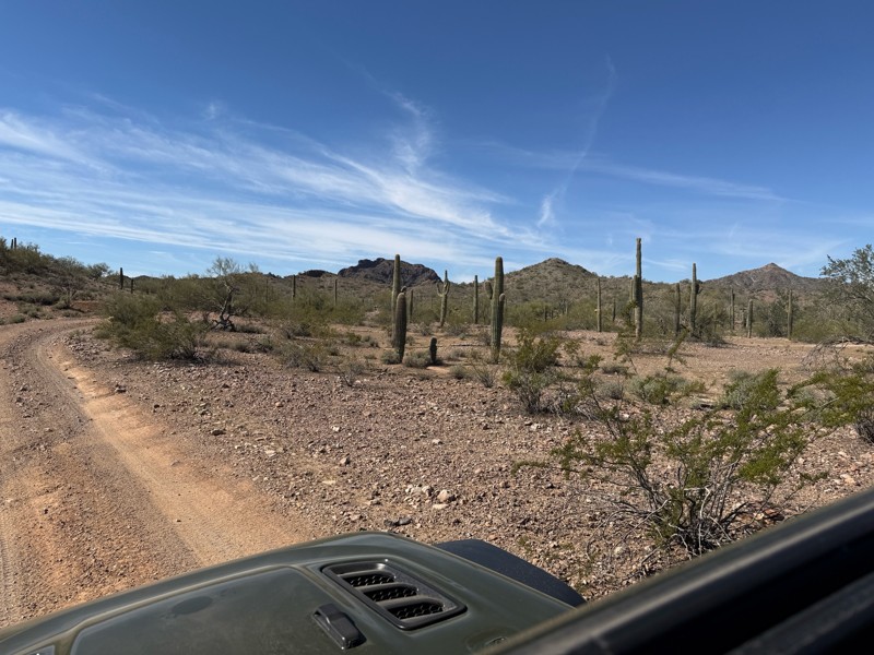 Vulture Mine Road Trail Review Photo