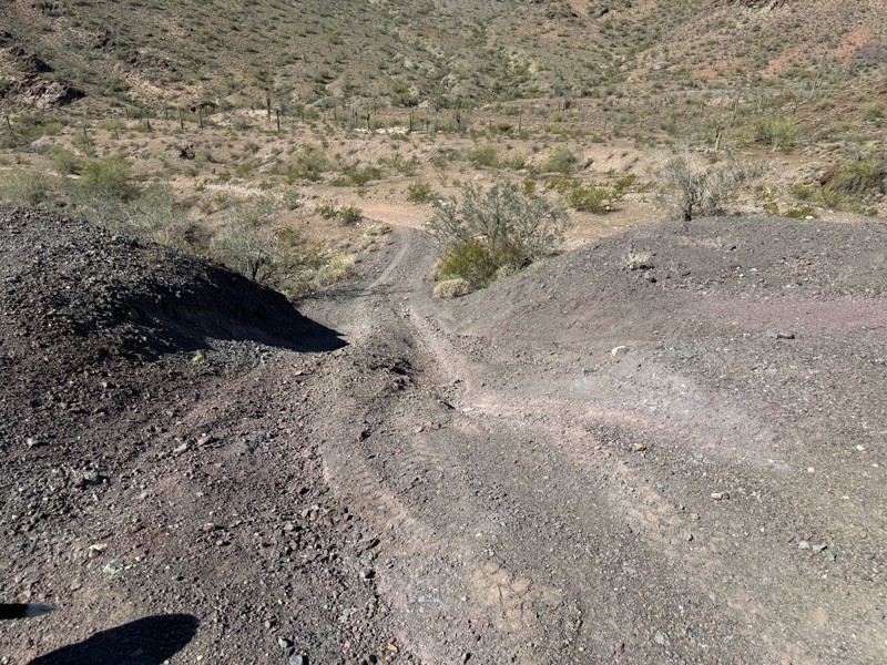 Vulture Mine Road Trail Review Photo