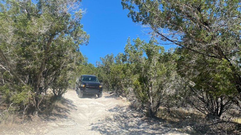 Hidden Falls Adventure Park: Boss Hog Trail Review Photo