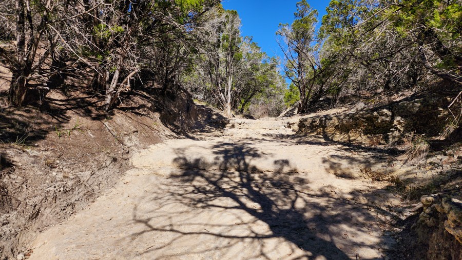 Hidden Falls Adventure Park: Wet & Wild Trail Review Photo