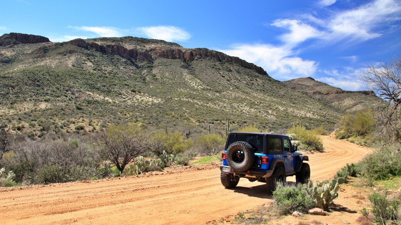 Arizona: Cow Camp Hero Photo