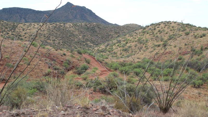 Cow Camp Trail Review Photo