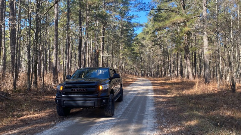 Scull Shoals Experimental Forest Trail Trail Review Photo
