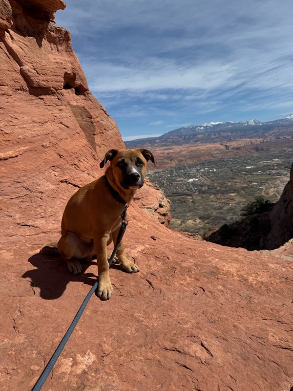 Barney's Overlook Trail Review Photo
