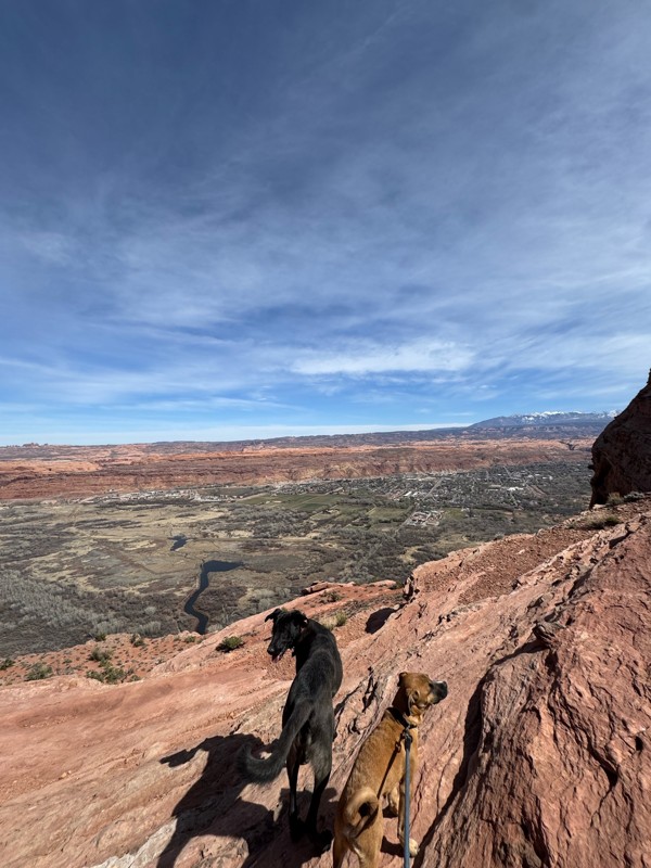 Barney's Overlook Trail Review Photo