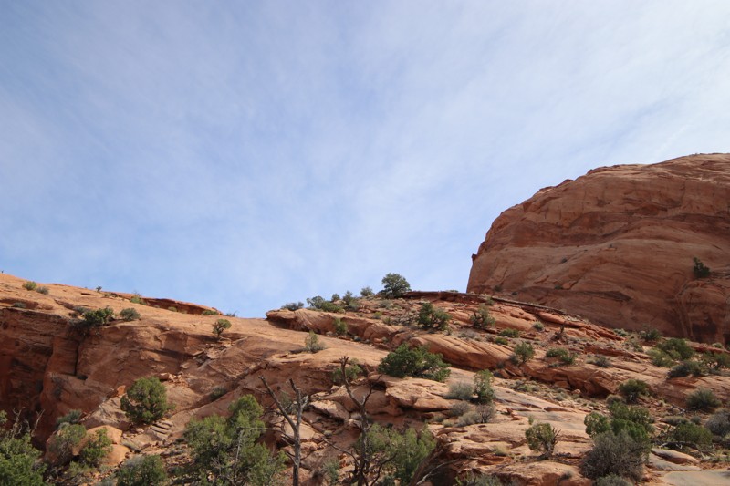 Barney's Overlook Trail Review Photo