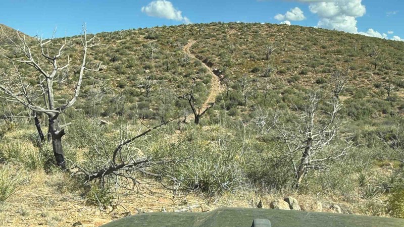 Edward's Park Trail Review Photo