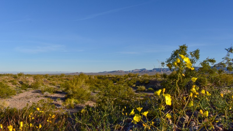 Arizona: 4352B Hero Photo
