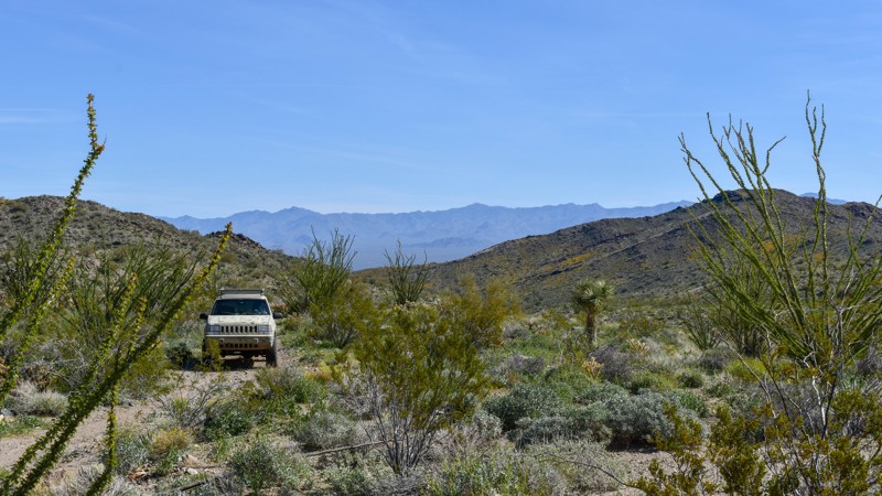 Arizona: 4446D Hero Photo