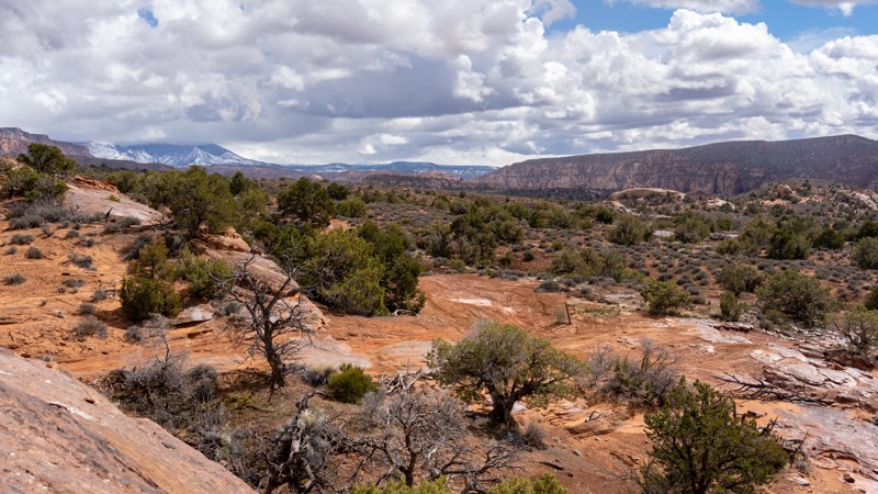 Utah: BLM 2341 Hero Photo