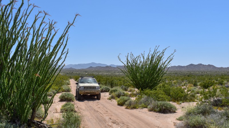 Arizona: 4353B Hero Photo