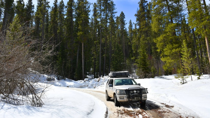 Goose Creek Road Trail Review Photo