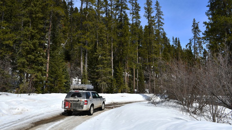 Goose Creek Road Trail Review Photo