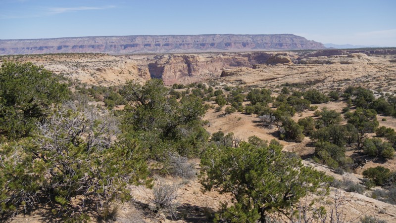 Utah: Lower Wedge Hero Photo