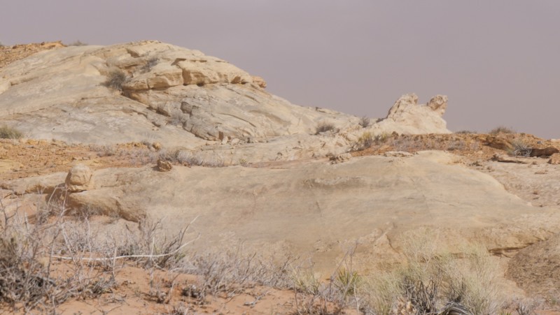 Utah: Rattlesnake Butte Hero Photo