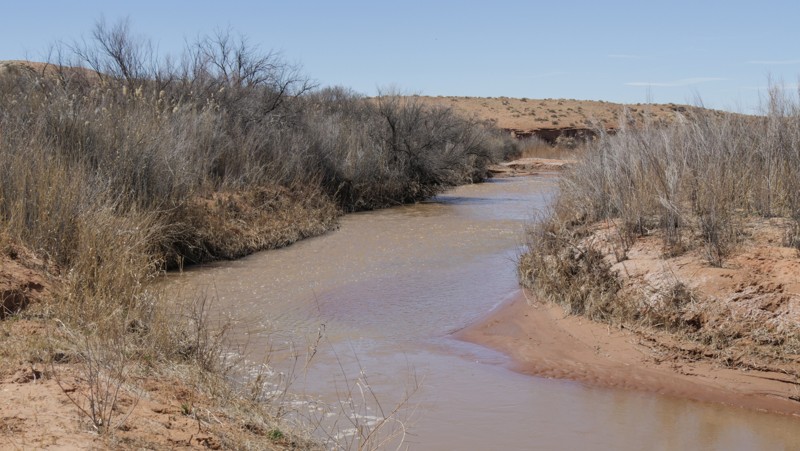 Utah: Spring Canyon Hero Photo
