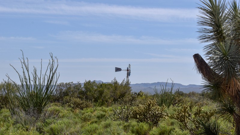 Arizona: Coyote Wells Road Hero Photo