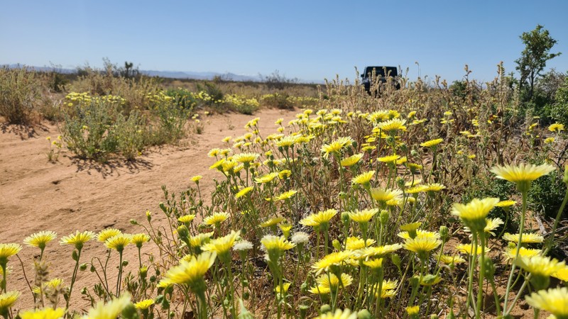 California: Apache Avenue Hero Photo