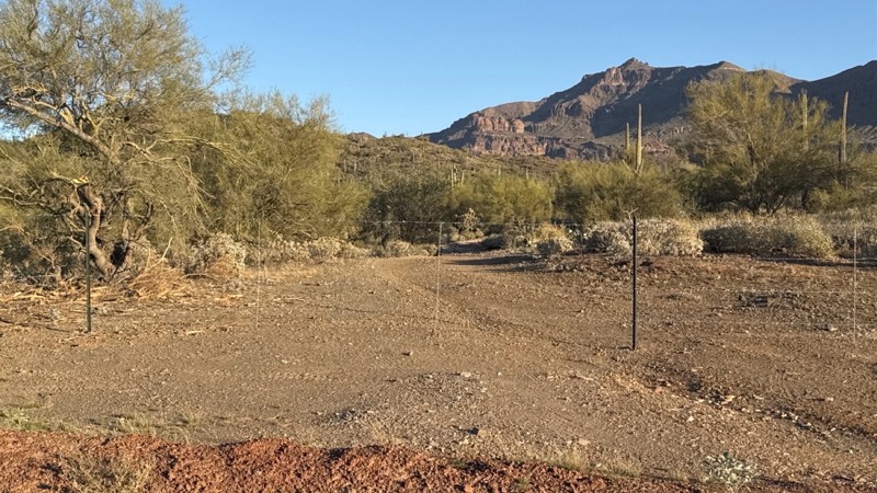 Superstition Lollipop Hill Trail Review Photo