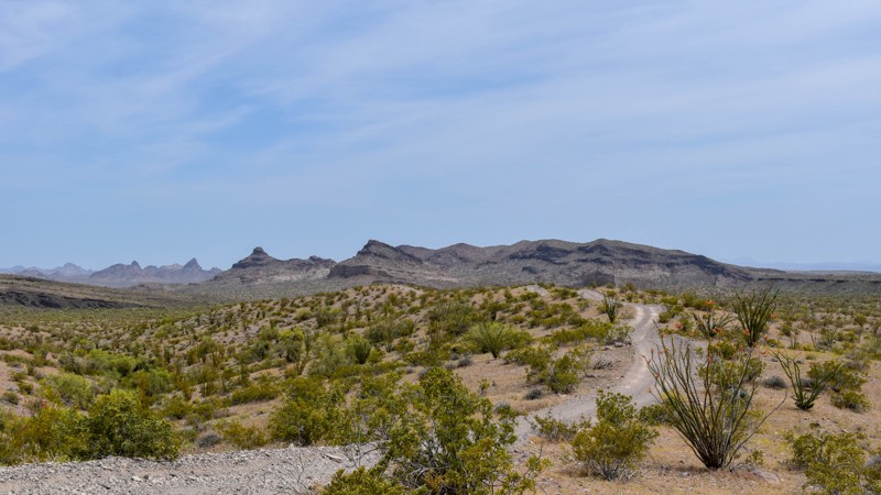 Arizona: 4362 Hero Photo